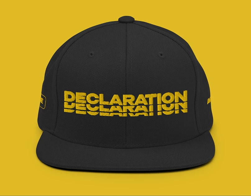 Declaration Snapback